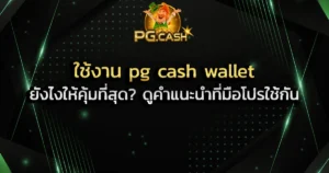ใช้งาน pg cash wallet ยังไงให้คุ้มที่สุด_ ดูคำแนะนำที่มือโปรใช้กัน